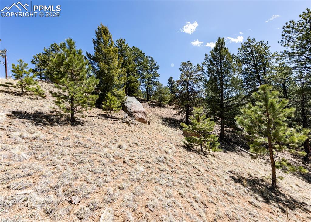 Image 4 of 21: View of local wilderness