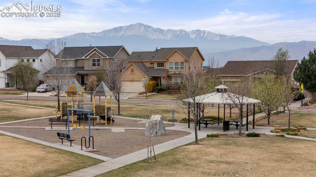 Image 6 of 31: Community