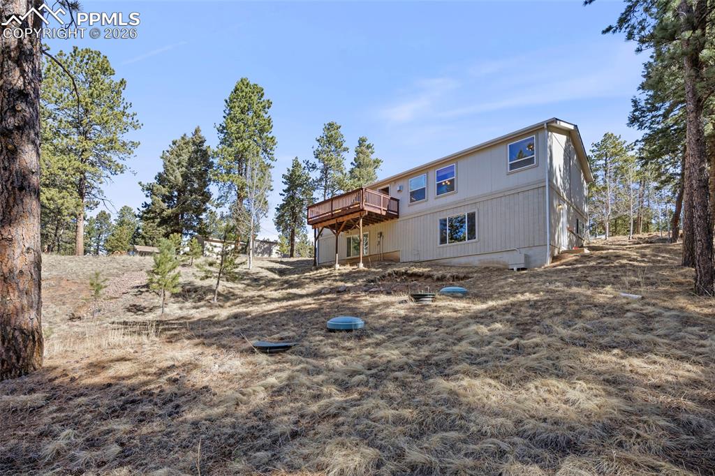 Image 40 of 50: Back of Structure