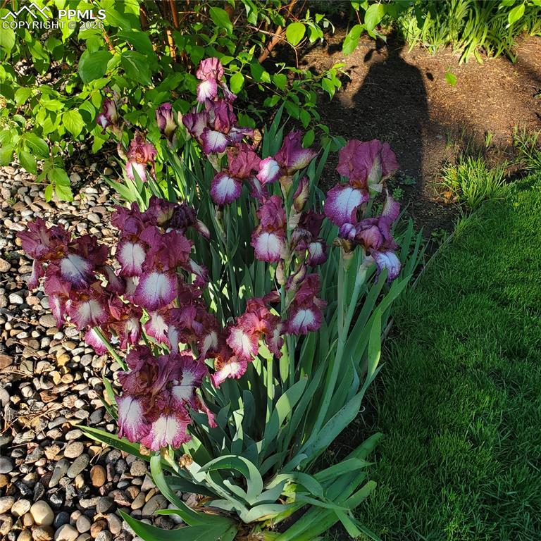 Image 2 of 46: Other