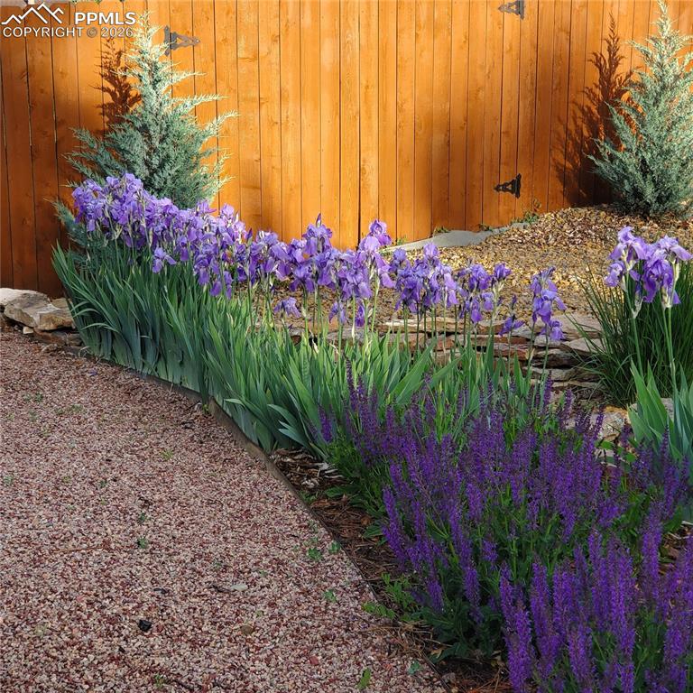 Image 3 of 46: Other