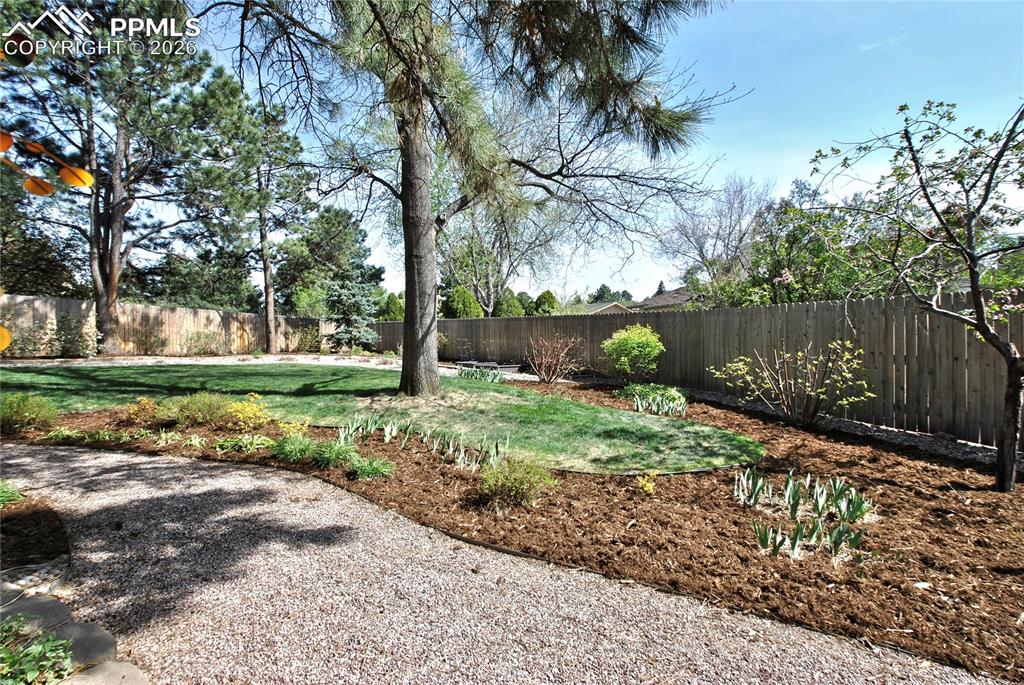 Image 38 of 46: Yard