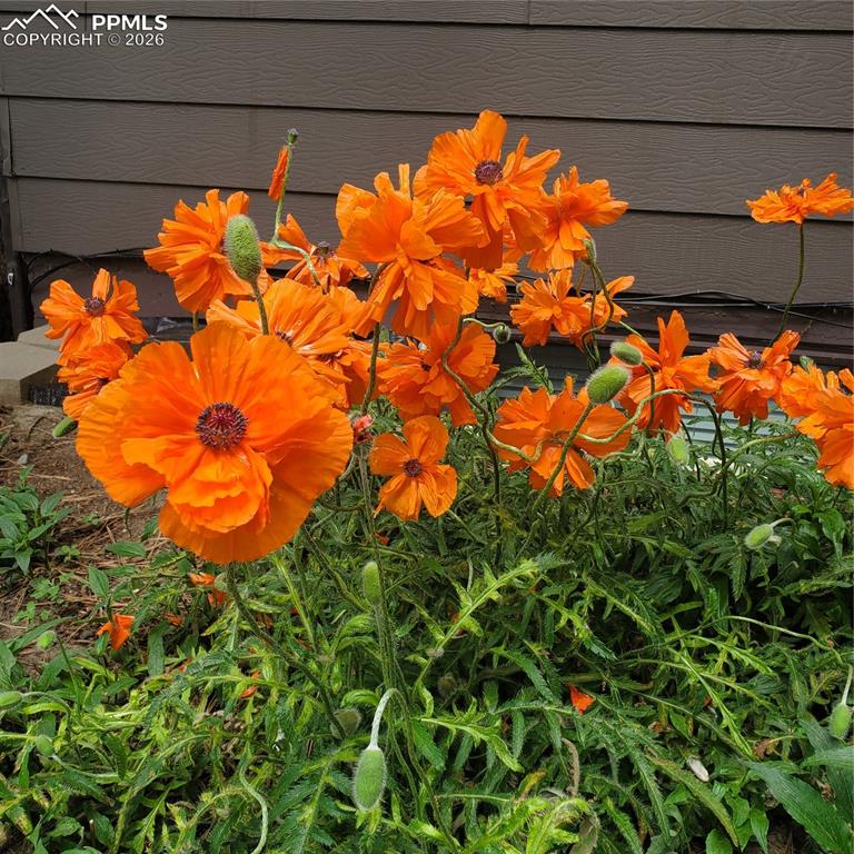 Image 39 of 46: Other