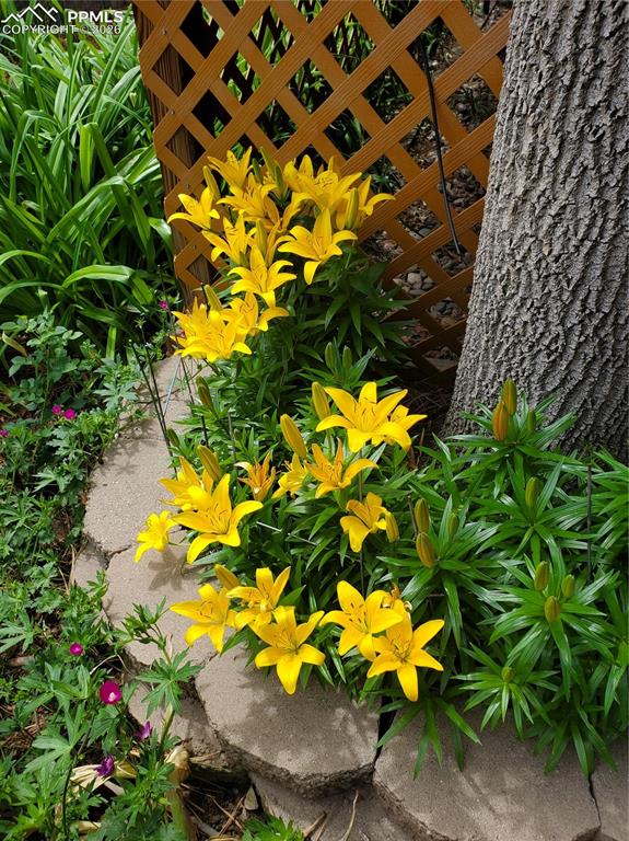 Image 40 of 46: Other