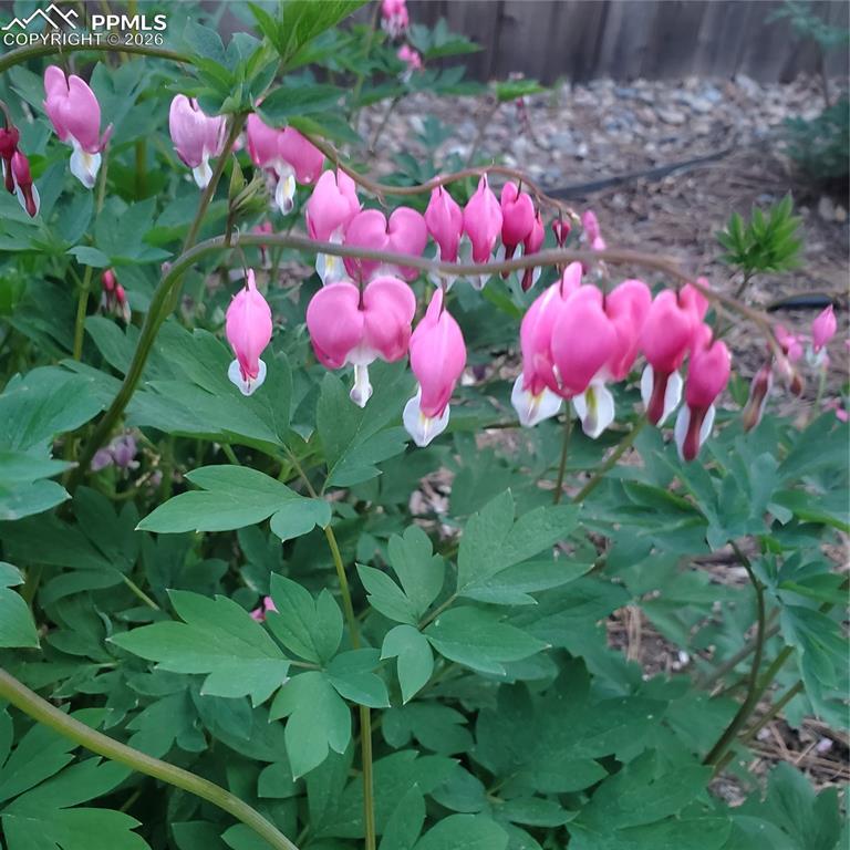 Image 41 of 46: Other