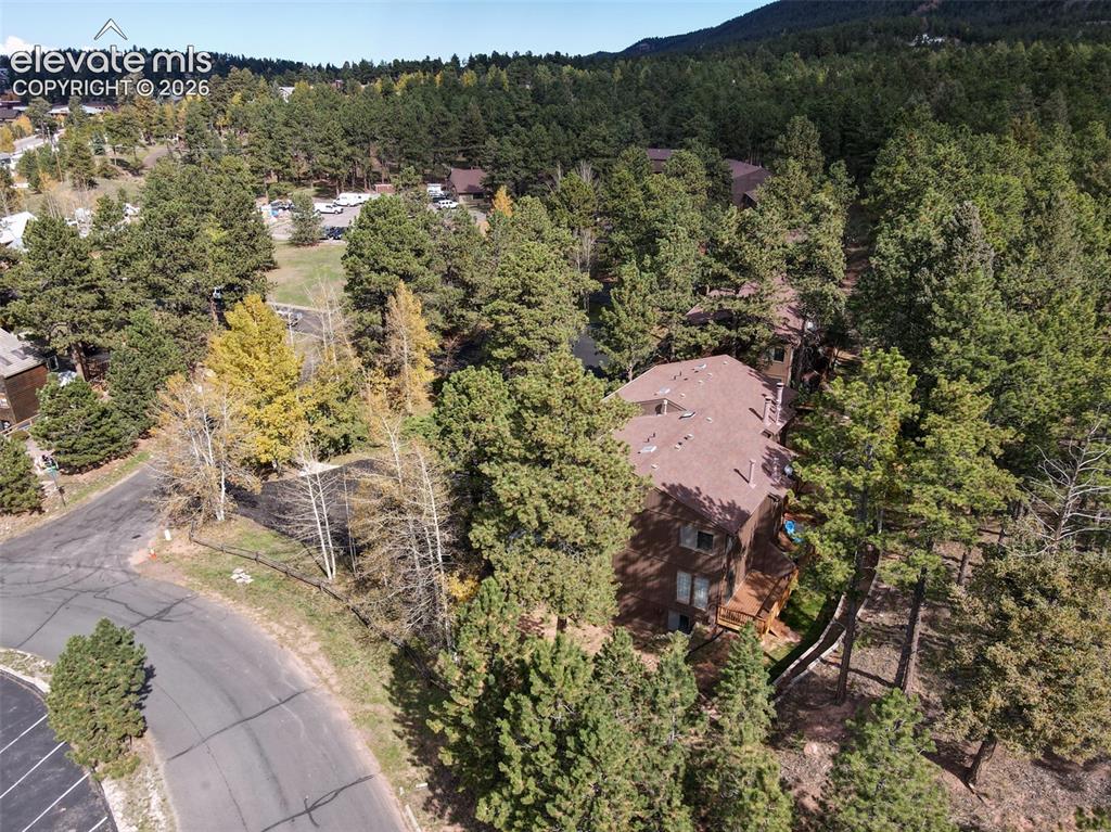 Image 37 of 50: Property surrounded by mature evergreen and deciduous trees, with a visible