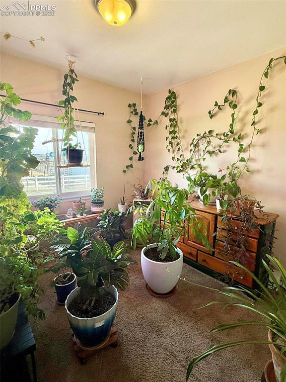 Image 18 of 37: No Description Available