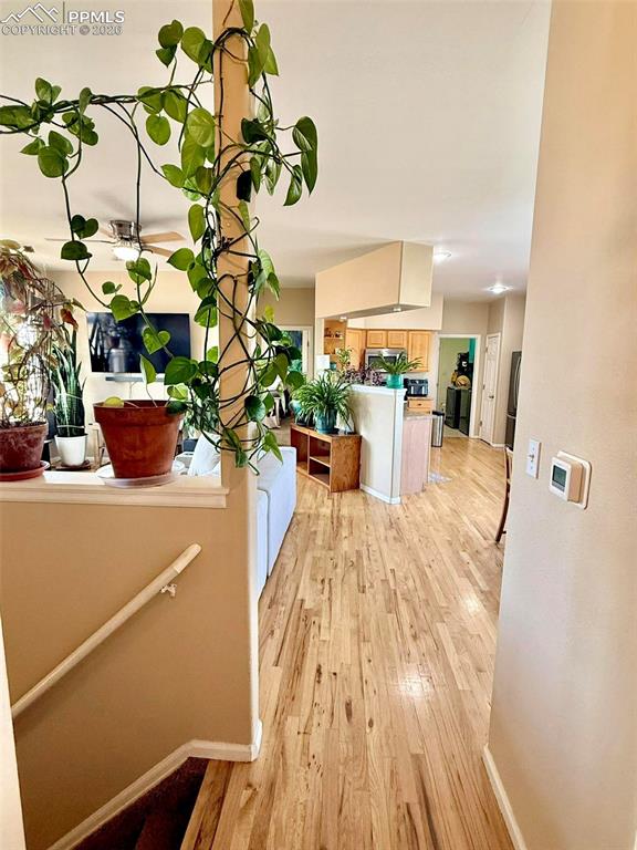 Image 21 of 37: No Description Available