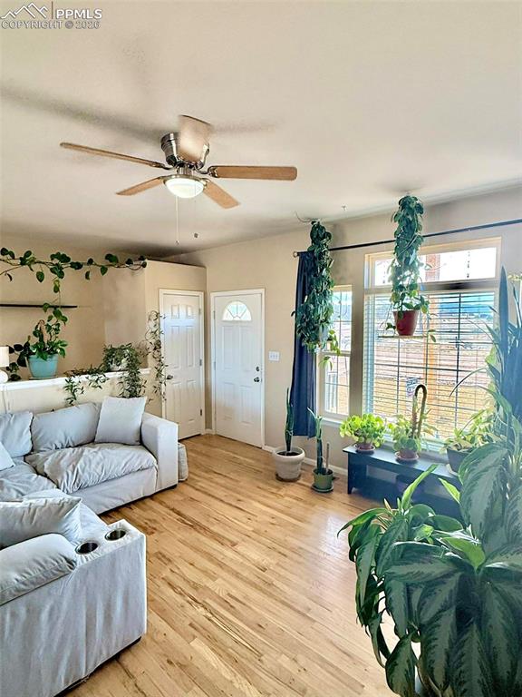 Image 5 of 37: No Description Available