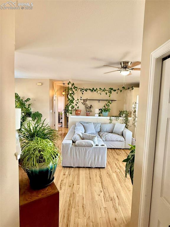 Image 7 of 37: No Description Available