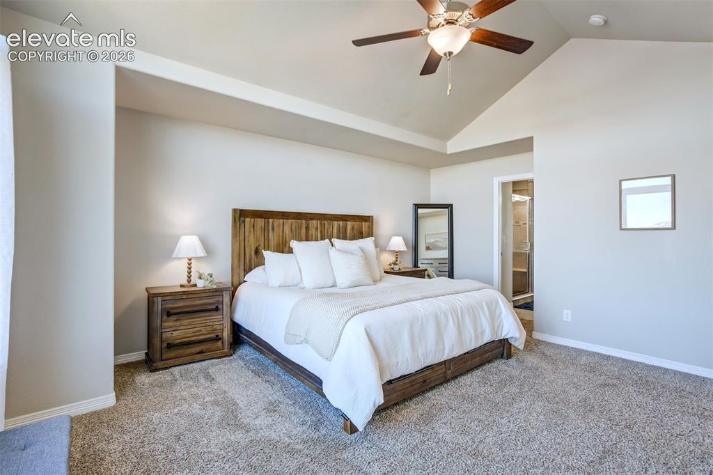 Image 21 of 47: Tray ceiling, ceiling fan, carpet flooring, recessed wall niche, and an ope