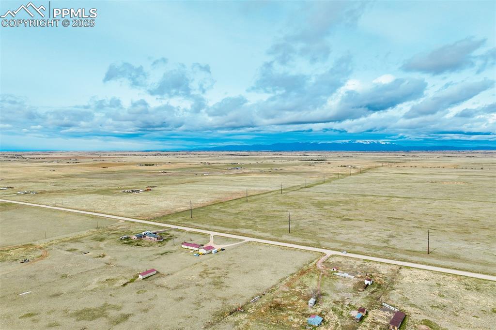 Image 18 of 25: Bird