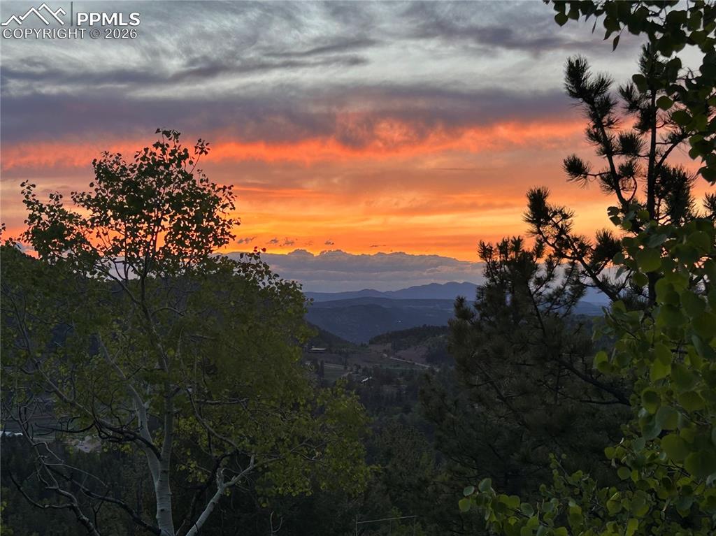 Image 30 of 50: View