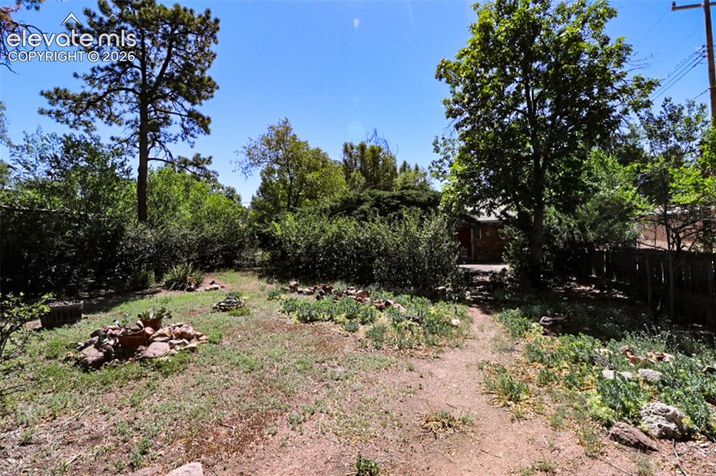 Image 3 of 17: Yard