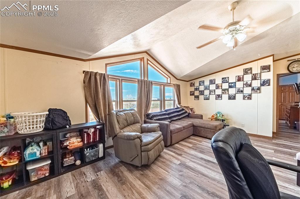 Image 15 of 48: Living room featuring wood finished floors, a textured ceiling, lofted ceil