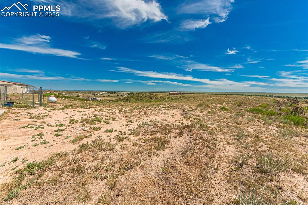 Image 30 of 48: View of yard
