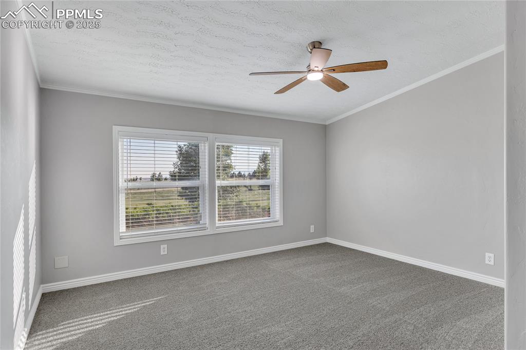 Image 17 of 34: Carpeted spare room featuring ceiling fan, ornamental molding, and a textur