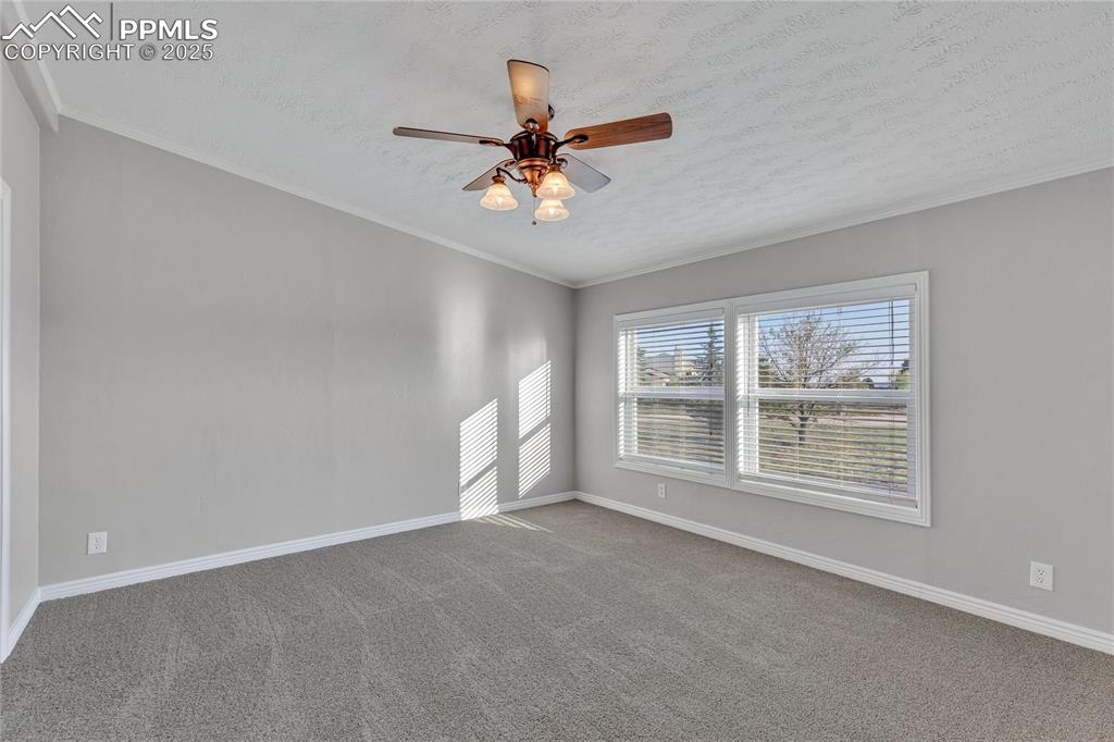 Image 19 of 34: Empty room featuring carpet, ceiling fan, ornamental molding, and a texture