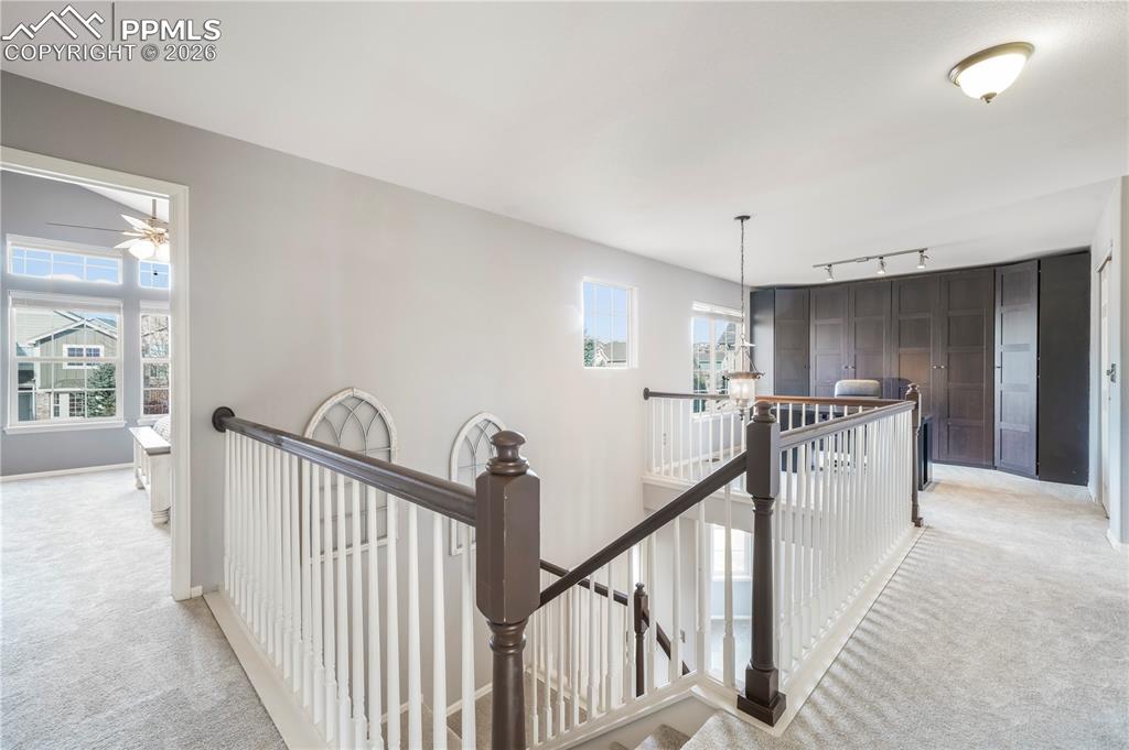 Image 19 of 50: Other