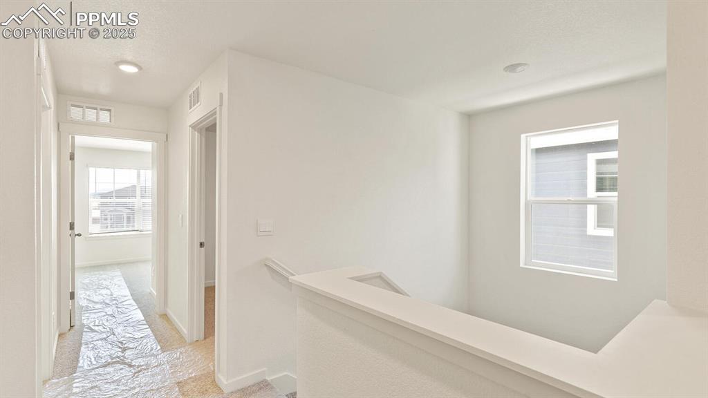 Image 13 of 24: Other