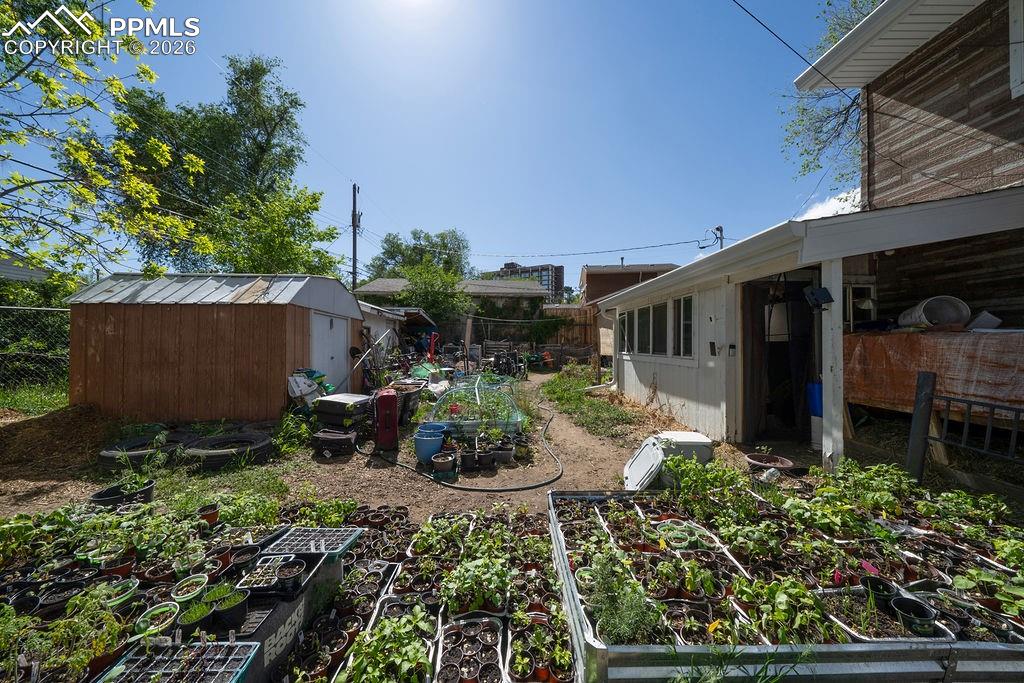 Image 16 of 17: Yard