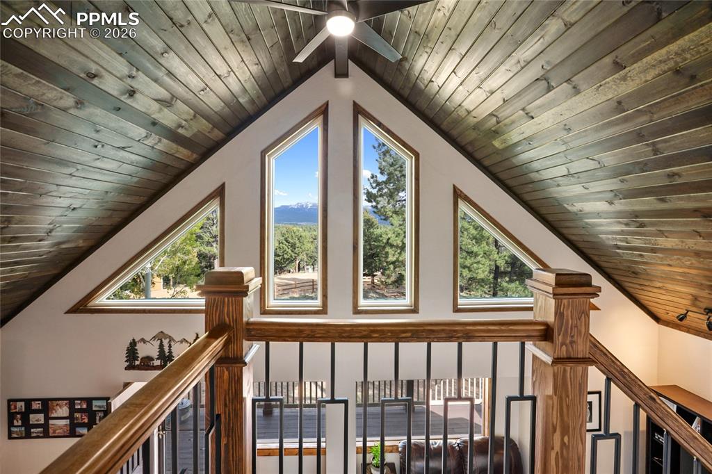 Image 11 of 40: Other