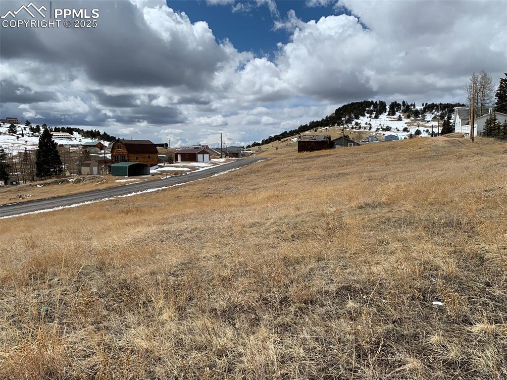 Image 14 of 22: View of yard