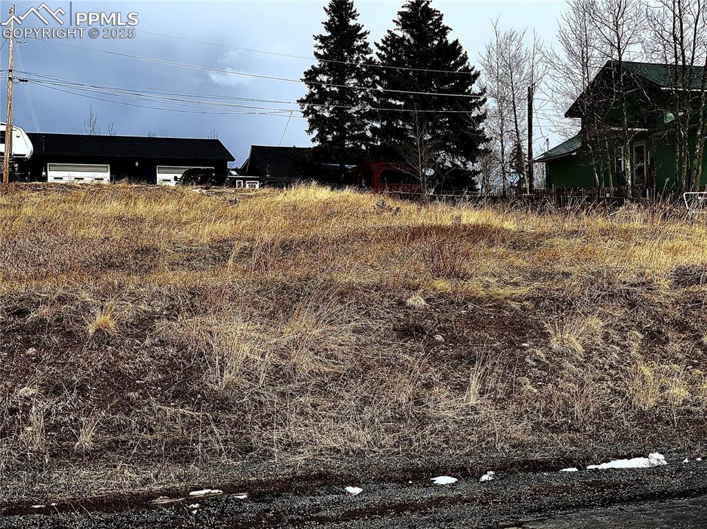 Image 3 of 22: View of yard