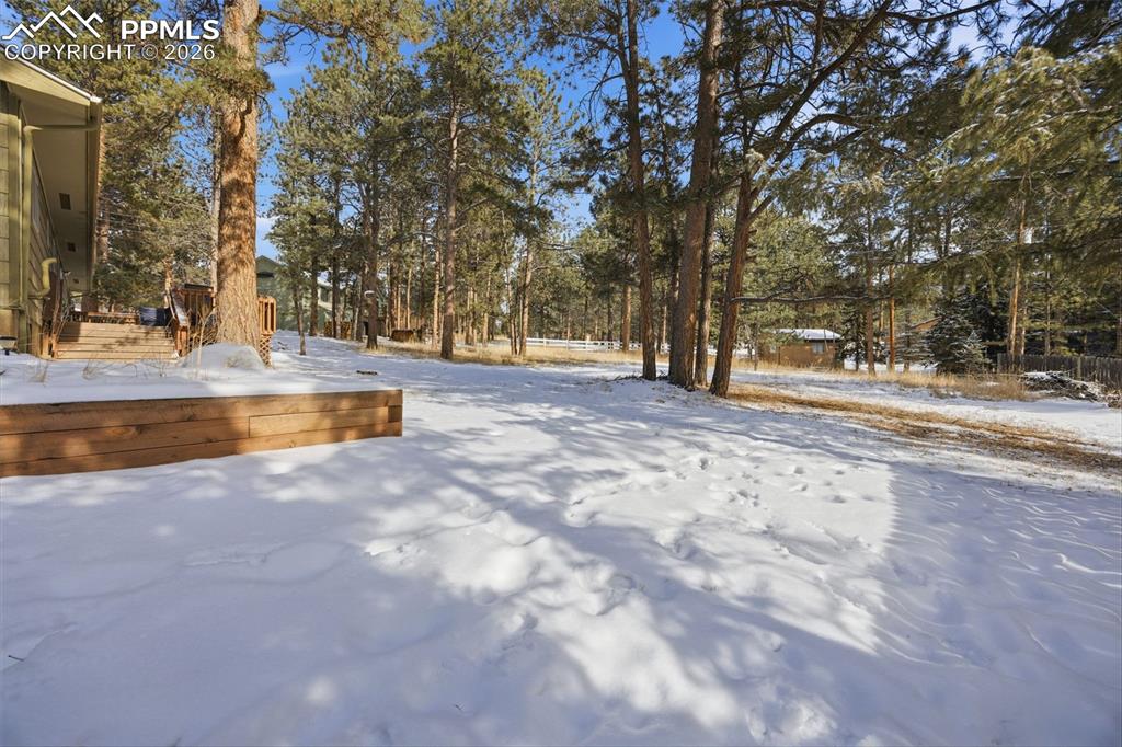 Image 21 of 25: Yard