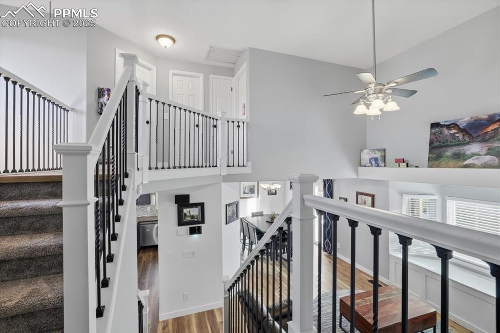 Image 17 of 50: Other