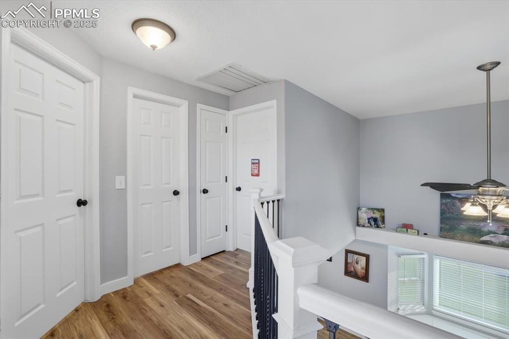 Image 19 of 50: Other