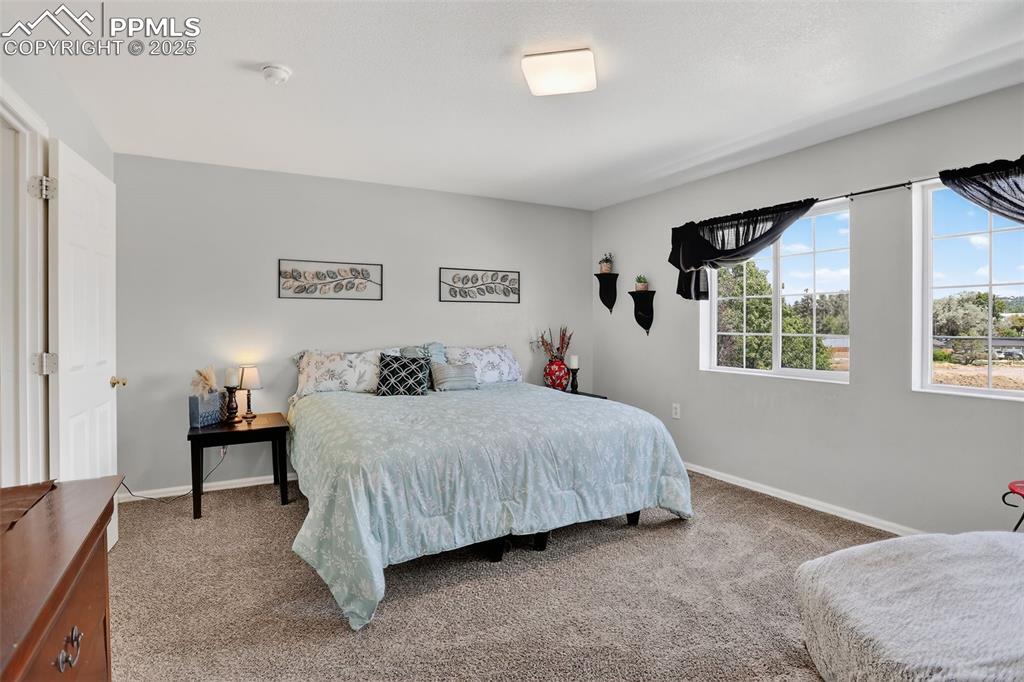 Image 18 of 26: Primary bedroom featuring carpet
