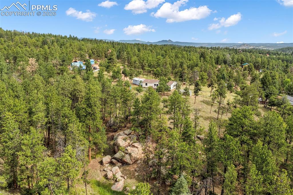 Image 48 of 50: Drone / aerial view of a forest and a mountainous background