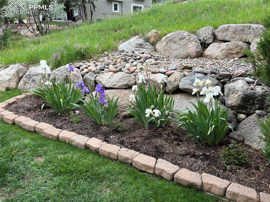 Image 45 of 49: View of yard