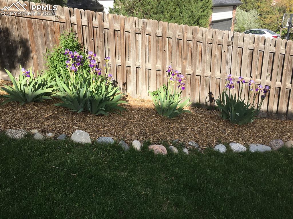 Image 46 of 49: View of yard