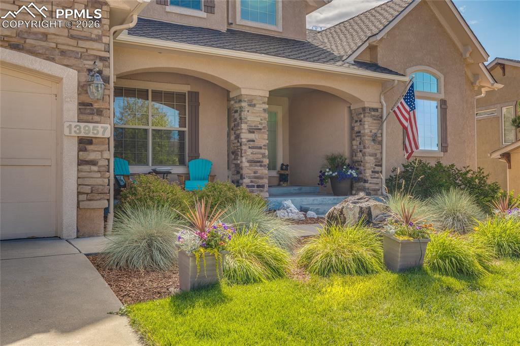 Image 40 of 50: Green of summer