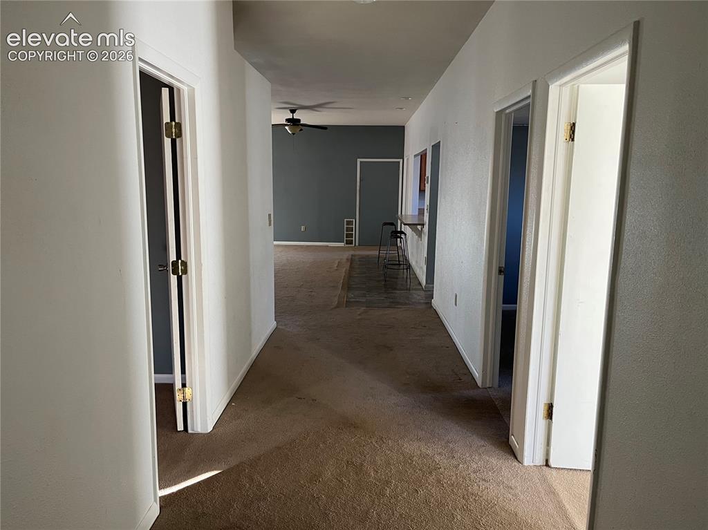 Image 16 of 18: Other