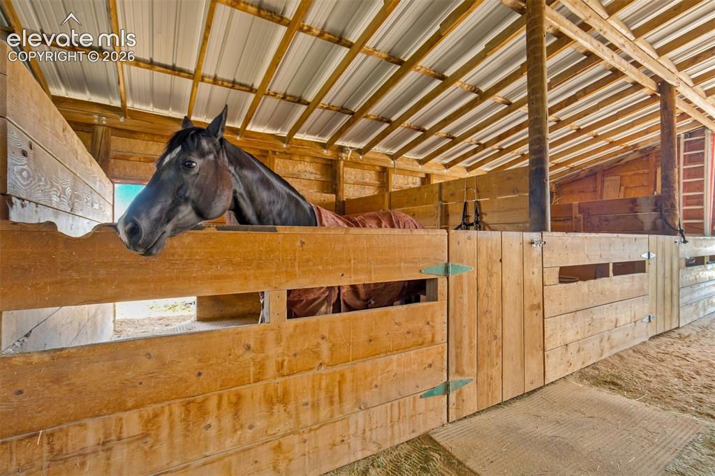 Image 29 of 49: Stable