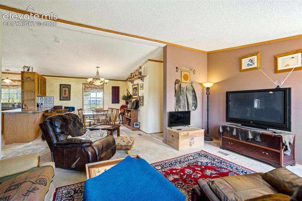 Image 4 of 49: Living Room