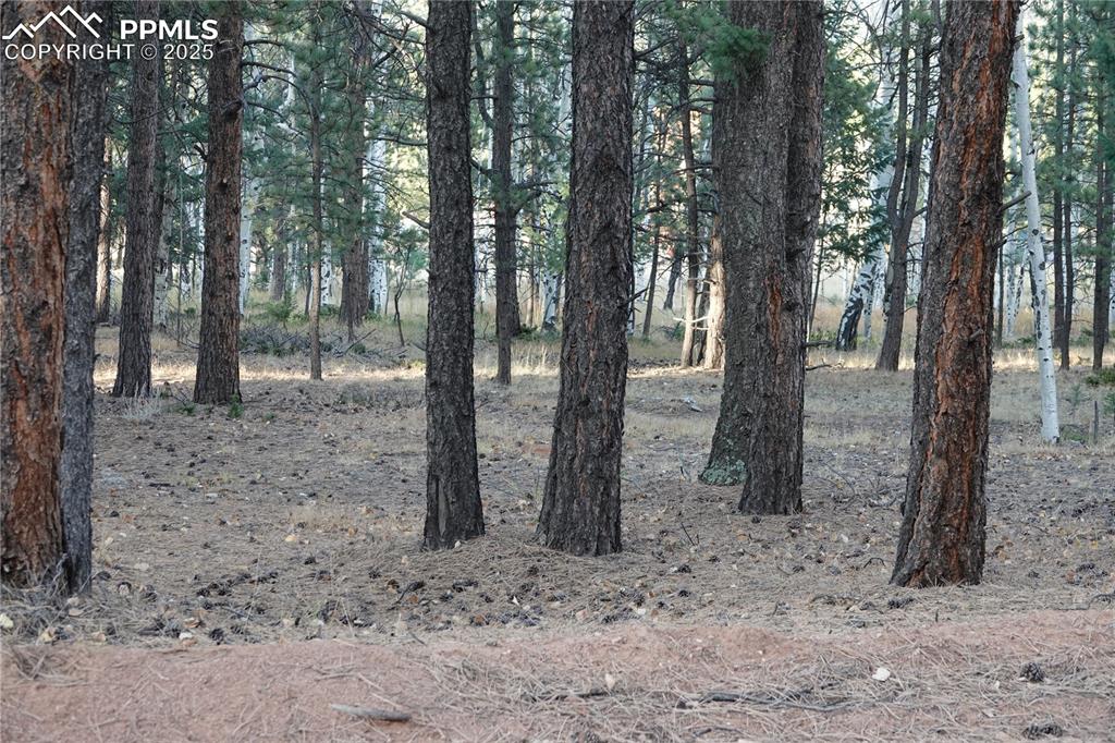 Image 10 of 10: Other