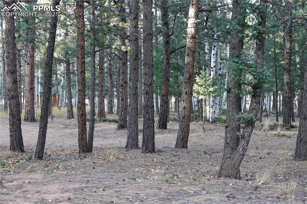 Image 3 of 10: Other