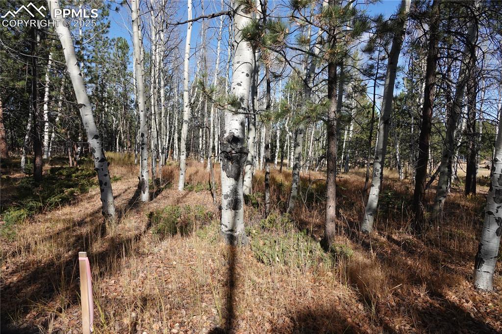 Image 4 of 10: Other