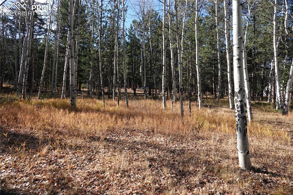 Image 5 of 10: Other