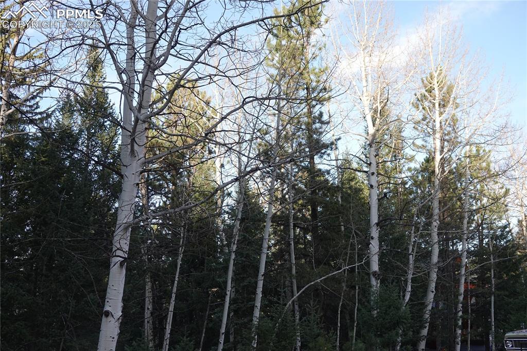 Image 6 of 10: Other