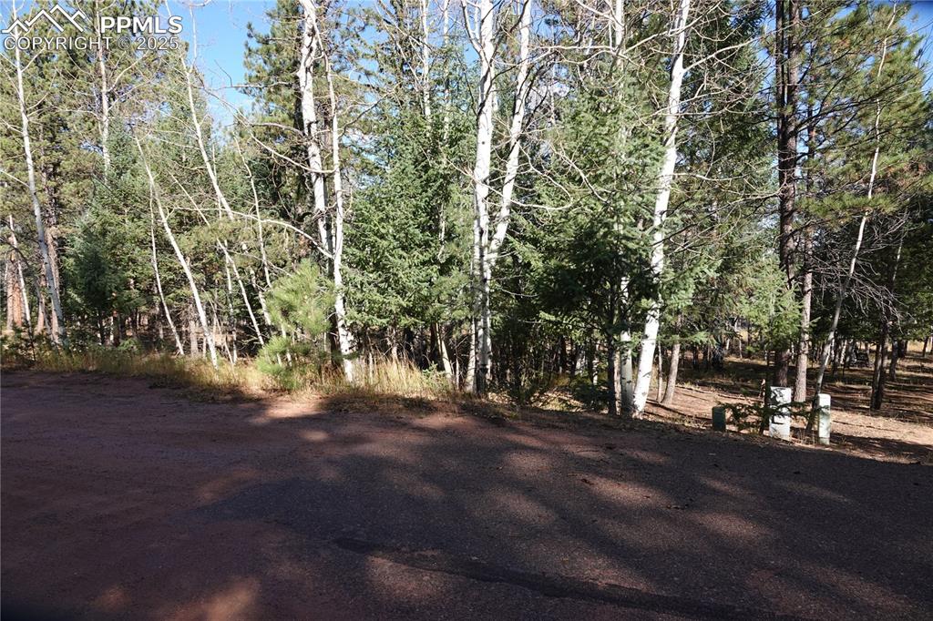 Image 8 of 10: Community