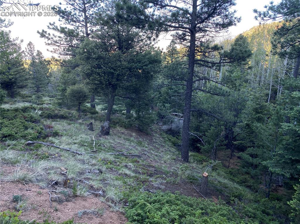 Image 10 of 17: Mature Aspens and Pines on the lot with Colorado Springs in the distance.