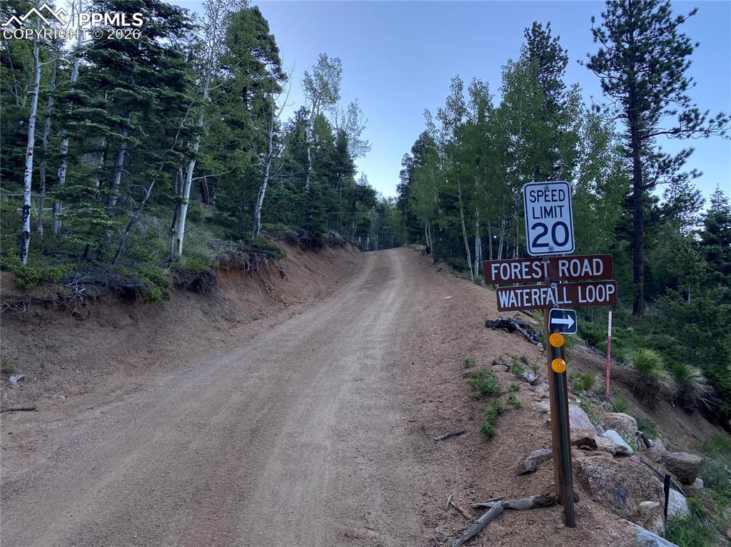 Image 13 of 17: Property has towering pines, aspen & dramatic rock formations