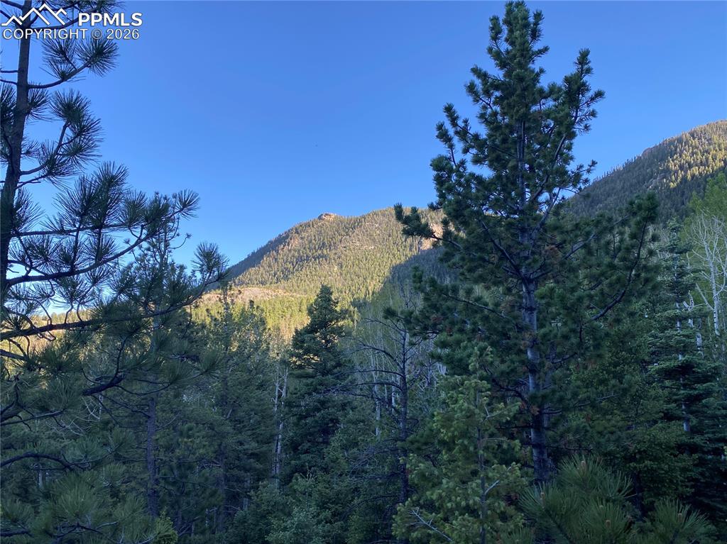 Image 5 of 17: Mature Aspens and Pines on the lot