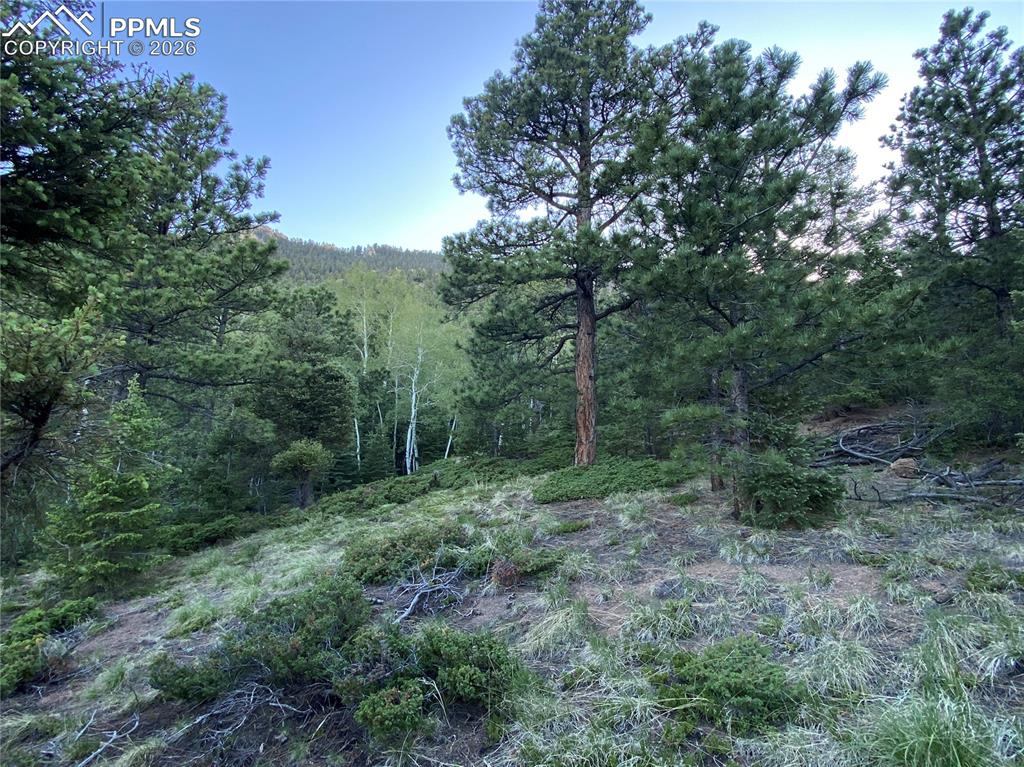 Image 6 of 17: Views to the South from the lot!