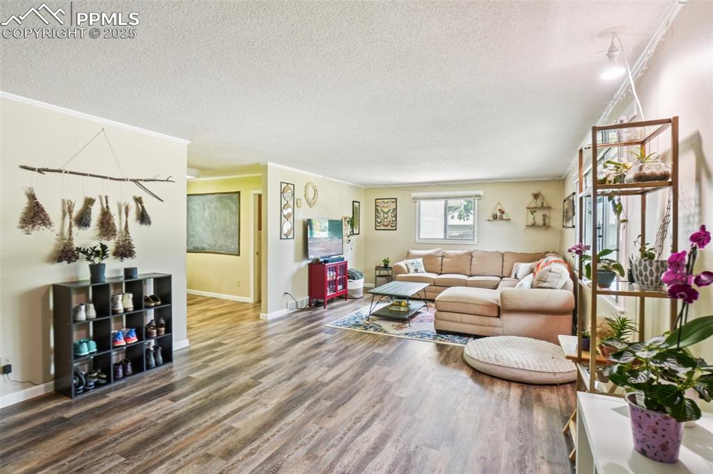 Image 4 of 49: Spacious living room greets you at you enter the home!